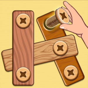 Nut & Bolt Screw Puzzle Game
