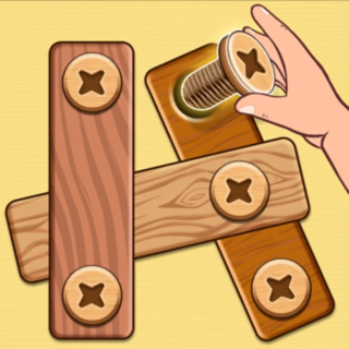 Nut & Bolt Screw Puzzle Game